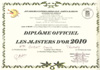 Diplme Les Masters d'Or 2010 - Salon d'Et 2010