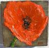 Coquelicot 2